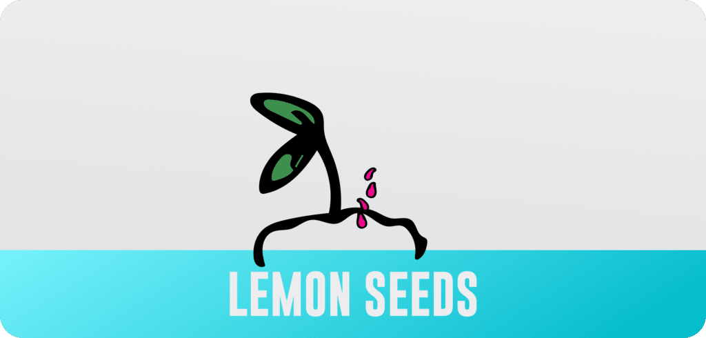 Solutions - Lemon Seed