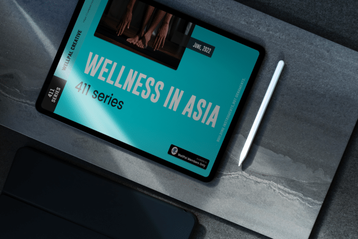 411 Wellness iPad cover